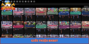 8XBET