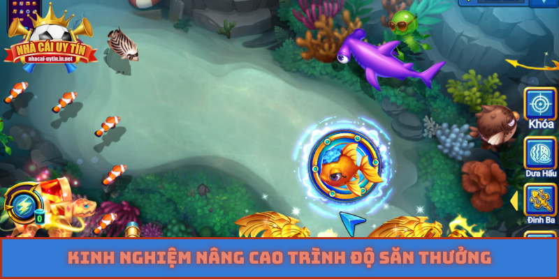 Kinh nghiệm nâng cao trình độ săn thưởng