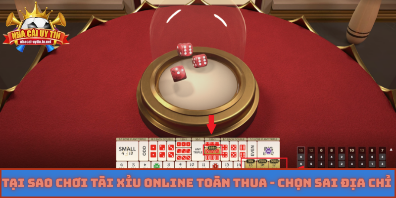 Tại sao chơi tài xỉu online toàn thua - Chọn sai địa chỉ cá cược