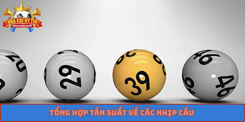 Tổng hợp tần suất về các nhịp cầu 
